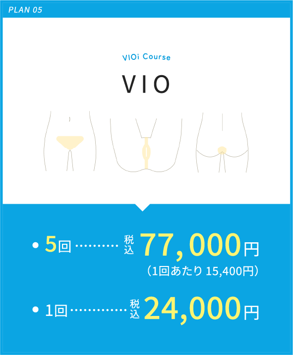 VIO5回税込み77, 000円（1回あたり 15,400円）　1回税込み24,000円